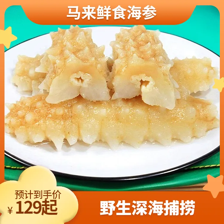 【高品质】马来西亚鲜食深海捕捞黄金刺参