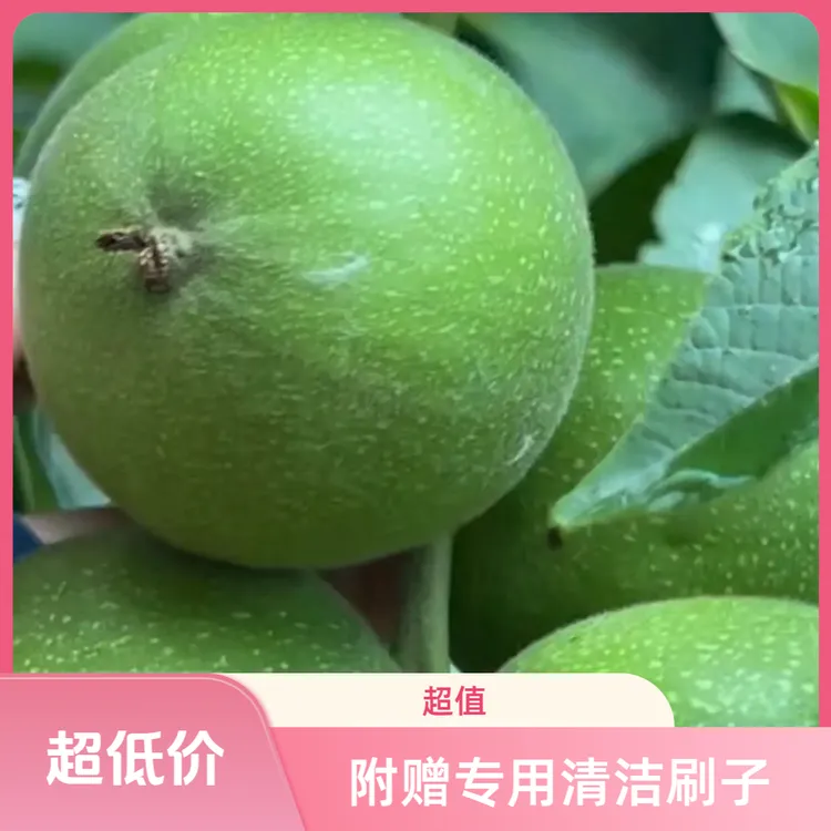 10只盘山青皮麻核桃把件➕刷子，青皮核桃 开后不退