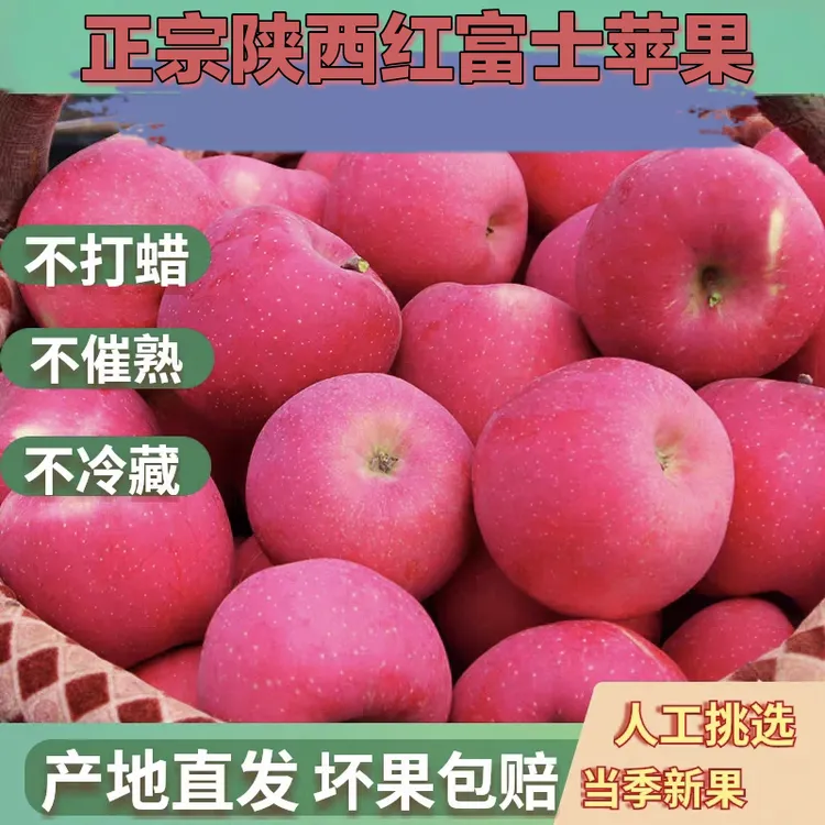 产地直发陕西红富士苹果脆甜多汁新鲜采摘冰糖心放心吃