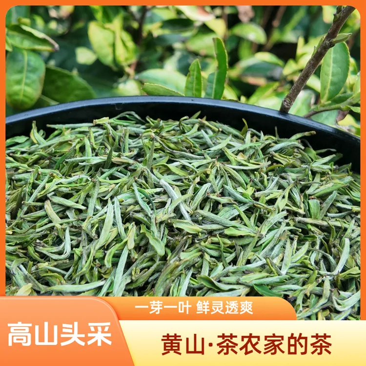 「开园头采·黄山土毛峰」纯正源头本地茶农茶厂 高级茶叶大山里直发