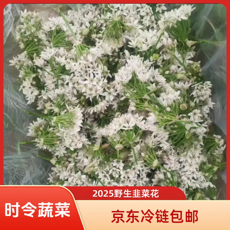 当季蔬菜山东野生韭菜花新鲜采摘京东冷链包邮可做韭菜花酱批发