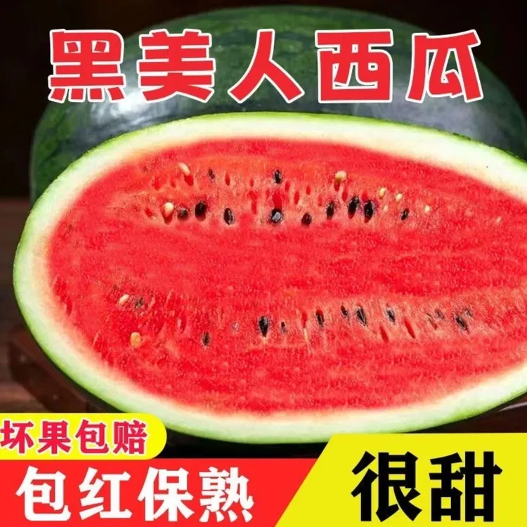 【越南黑美人西瓜】新鲜当季水果鲜红肉厚脆甜多汁应季3-8斤包邮