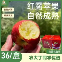 顺丰发货云南昭通高山红露丑苹果新鲜应季脆甜冰糖心水果