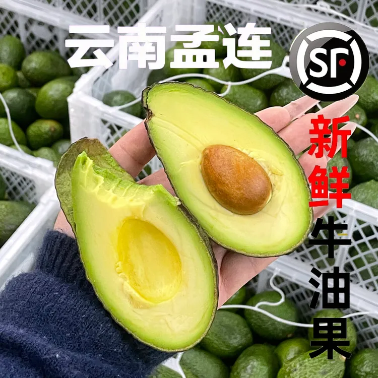 【坏果包赔】云南孟连哈斯牛油果新鲜当季水果可作宝宝辅食顺丰发货