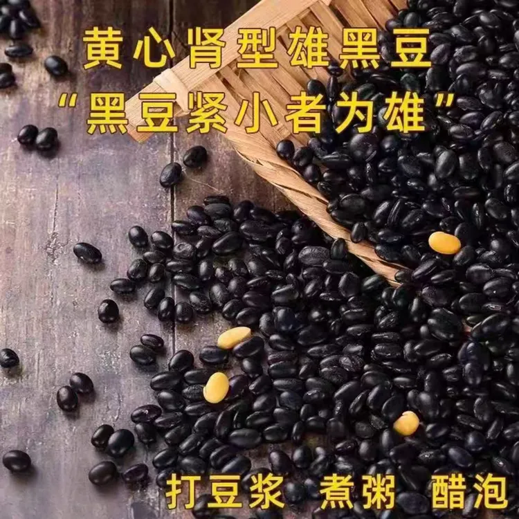雄黑豆肾形黄心农家自种当季新品古老品种不染色肾形黑豆五谷杂粮