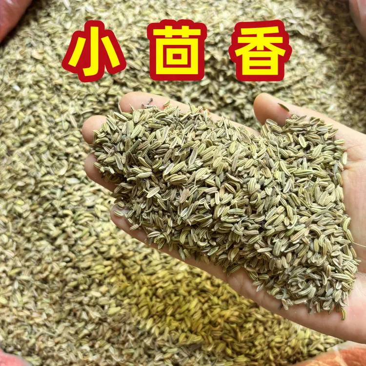 小茴香调料小茴香种子小茴香籽商用批发小茴香颗粒食用调味料干货