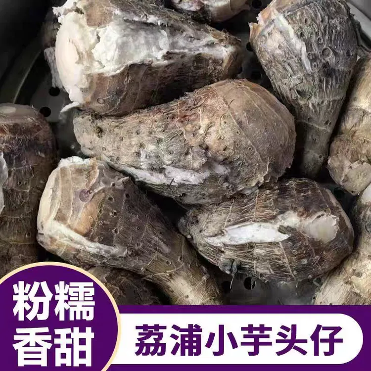 广西荔浦芋头新鲜小芋头香芋芋艿毛芋牛奶芋仔竽头仔农家软糯芋子