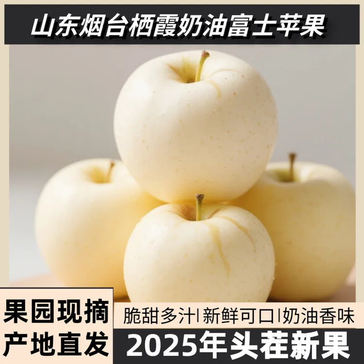 【新果上市】2025正宗奶油富士苹果山东烟台栖霞产地直发现采现发
