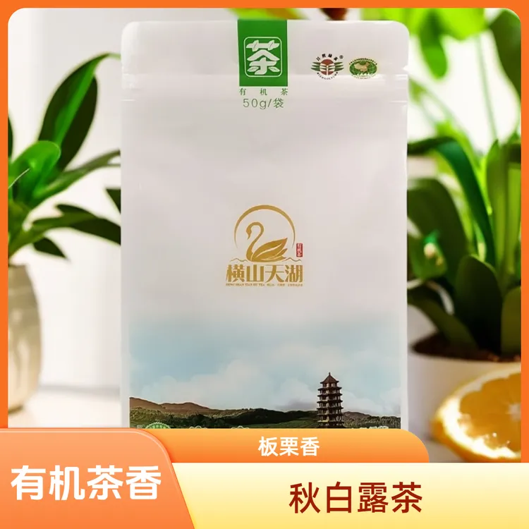 【单包半价】秋白露茶日照绿茶板栗香鲜香口粮茶冲泡无农残有机茶