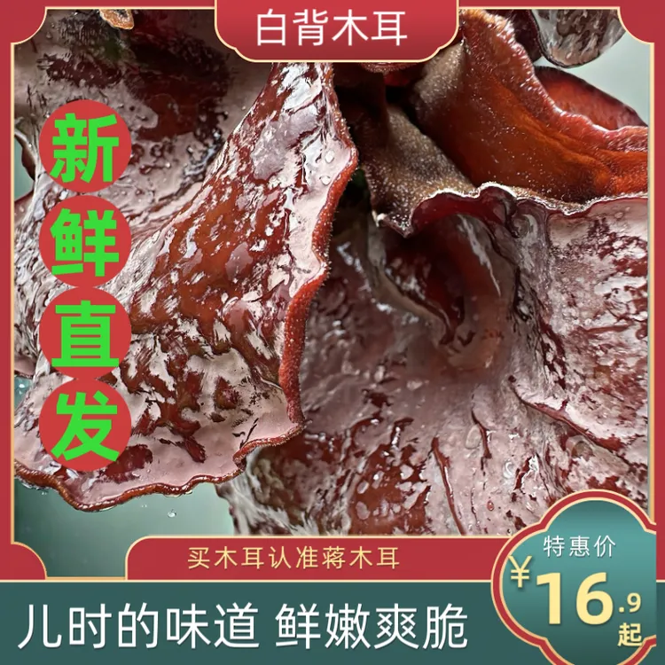 【生鲜发货】新鲜脆嫩白背毛木耳脆木耳冬日火锅螺蛳粉火鸡面食材
