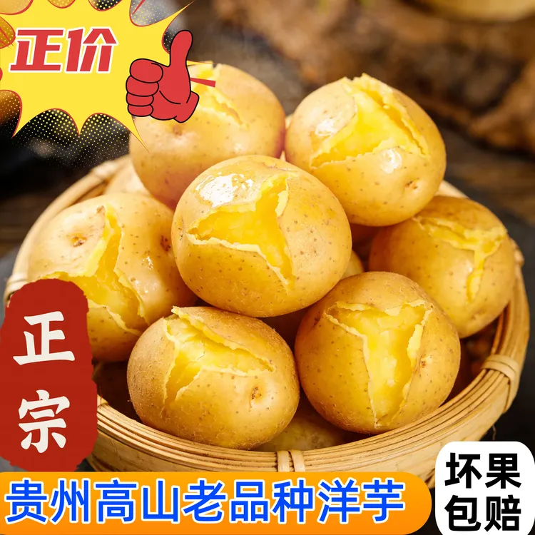 【小梅】贵州威宁老品种高海拔种植黄皮黄心洋芋土豆马铃薯