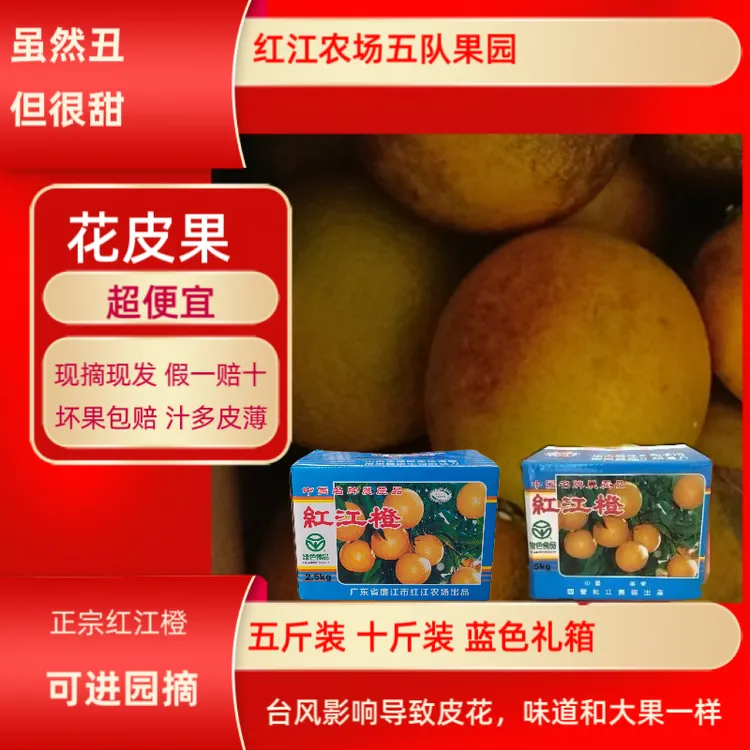 正宗廉江红橙红江橙当季新鲜水果黑皮果花皮5斤10斤礼盒装