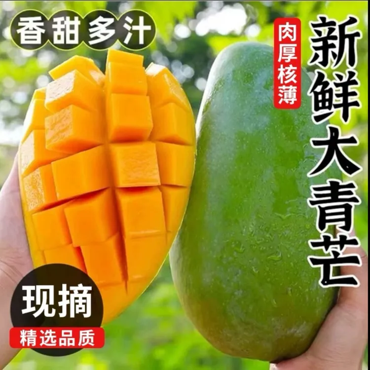 西双版纳大青芒新鲜芒果5斤9斤新鲜水果香甜多汁薄皮