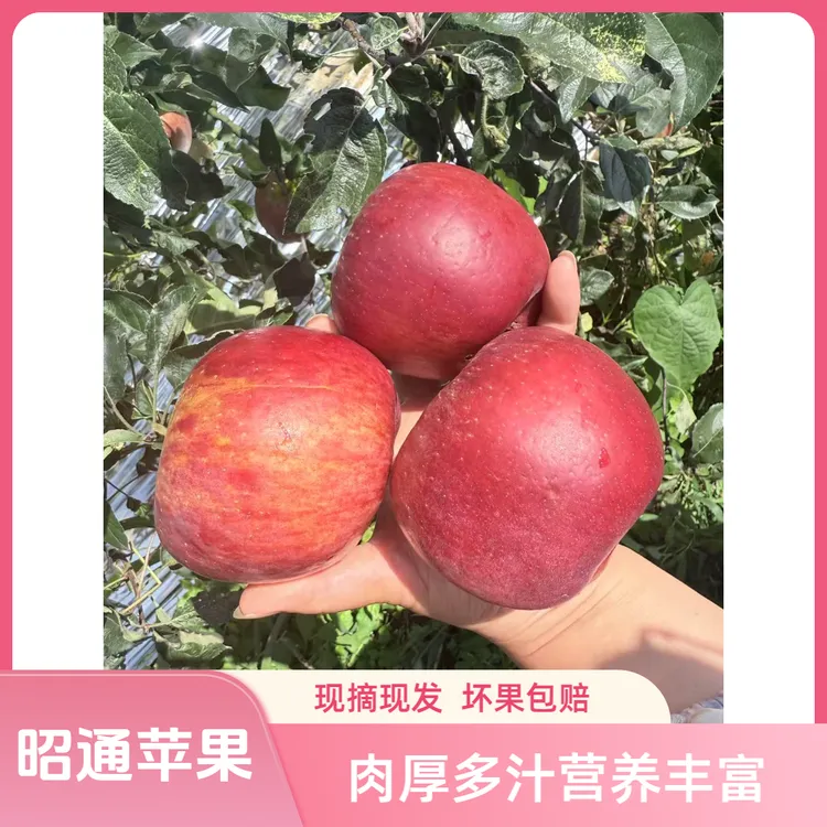 正宗昭通丑苹果新鲜脆甜多汁现摘现发营养肉厚农家肥种植孕妇水果