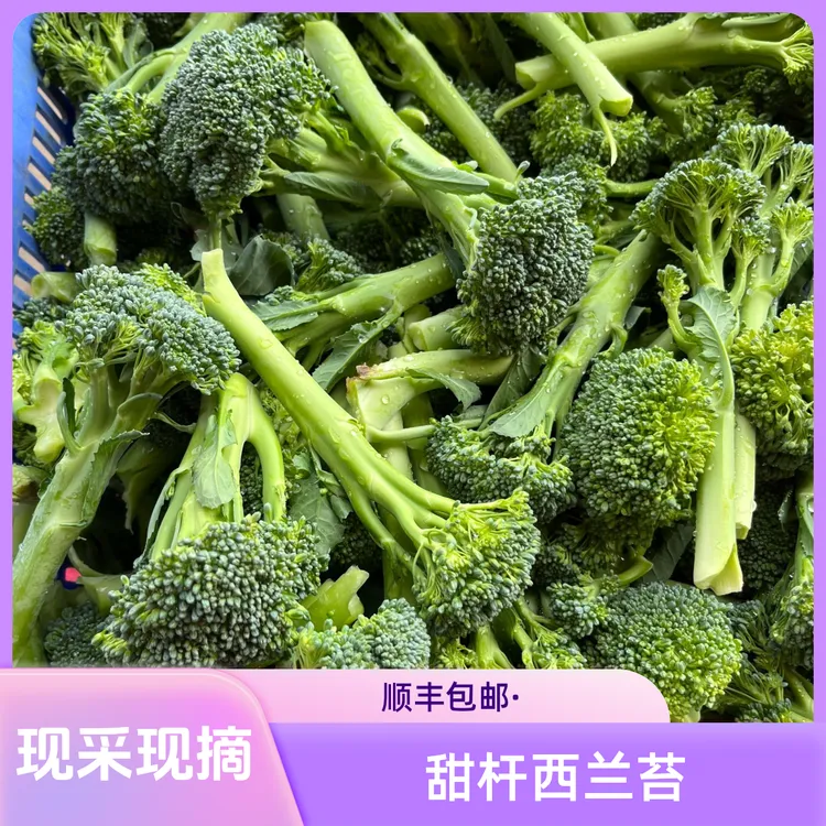 农泽情顺丰发货宁夏甜杆西兰苔单株克重约1.5两总个数20~30株