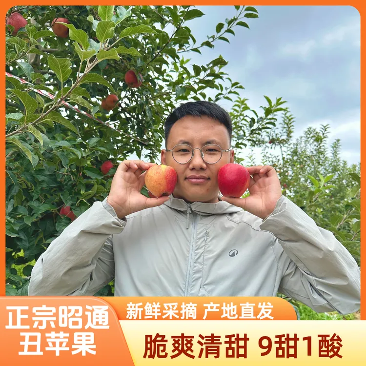 正宗云南昭通苹果 脆甜苹果 新鲜采摘 产地直发 