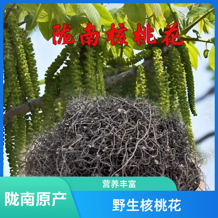 甘肃康县西秦岭核桃花陇南特产干长寿菜山龙须菜干货