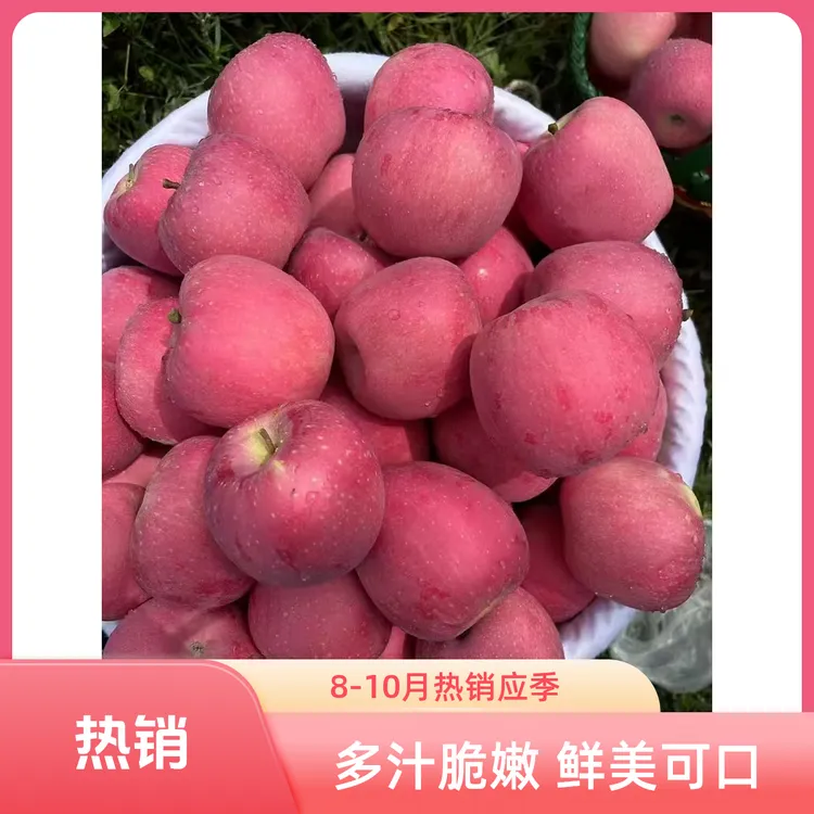 云南高山种植中熟富士2001丑苹果多汁新鲜应季水果现摘现发