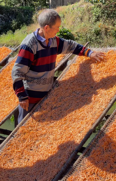 新鲜现挖产地直发正宗农家红薯地瓜 还有地瓜米 地瓜粉