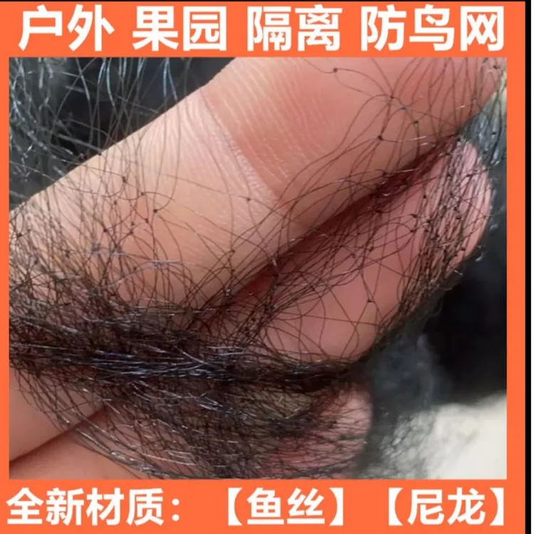 户外菜园果园大棚防护网尼龙加粗防鸟网野营隔离防护网葡萄养殖网