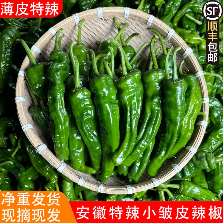 （顺丰包邮）特辣辣椒新鲜青椒薄皮超辣小皱皮农家自种应季新鲜蔬菜