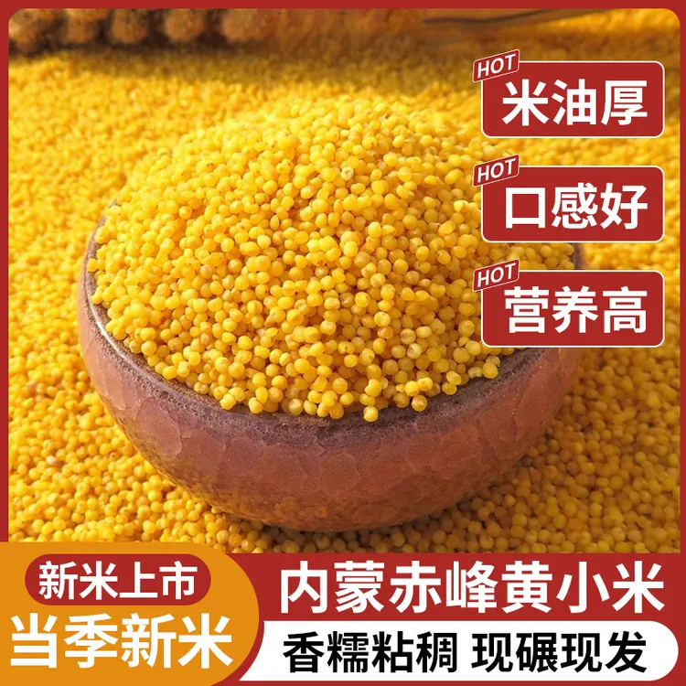 内蒙赤峰小米杂粮石碾小米粥绿色食品月子米营养农家黄小米新米