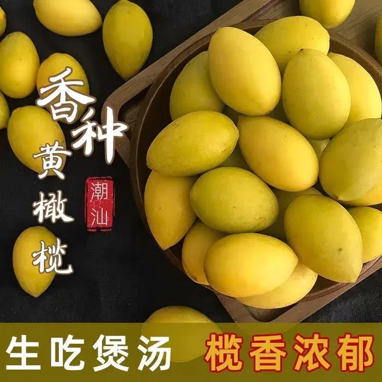 正宗潮汕特产新鲜金灶黄橄榄橄榄黄金橄榄果生吃天气榨汁煲汤泡酒