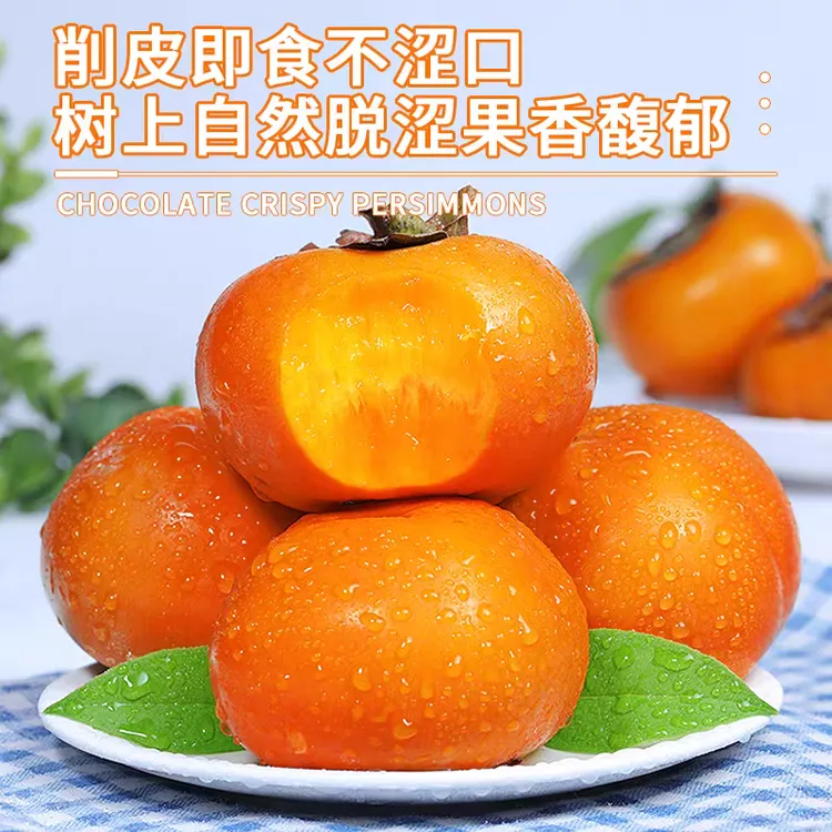 【5斤】广西恭城脆柿子脆甜新鲜巧克力硬柿子水果甜柿应季水果