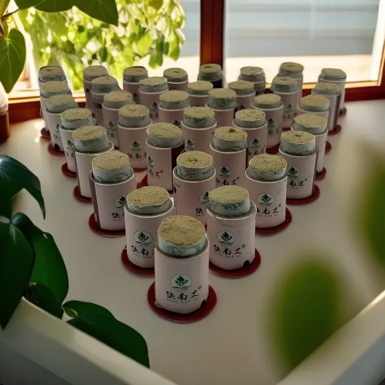 陕南艾（古皇灸）手工家用护理艾灸贴草本身体热敷外用