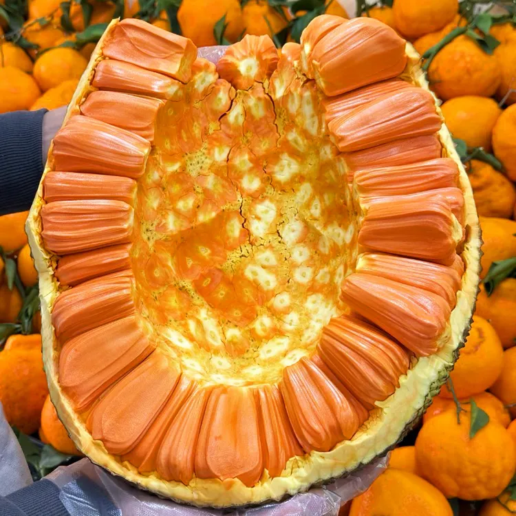 1鲜切块 进口特级印尼红肉菠萝蜜新鲜切【顺丰冷链+飘尾号送工具】