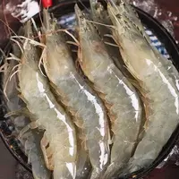 L特大【隆武生鲜】渤海湾盐旺虾  顺丰包邮 鲜活速冻 净重3-5斤！
