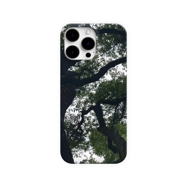 云雾青松苹果手机壳16promax创意14个性12iPhone11风格13艺术15xr