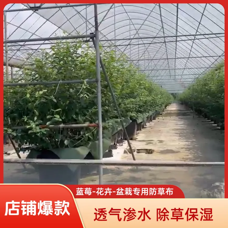 蓝莓花卉盆栽蔬菜大棚果树专用防草布寸草不生