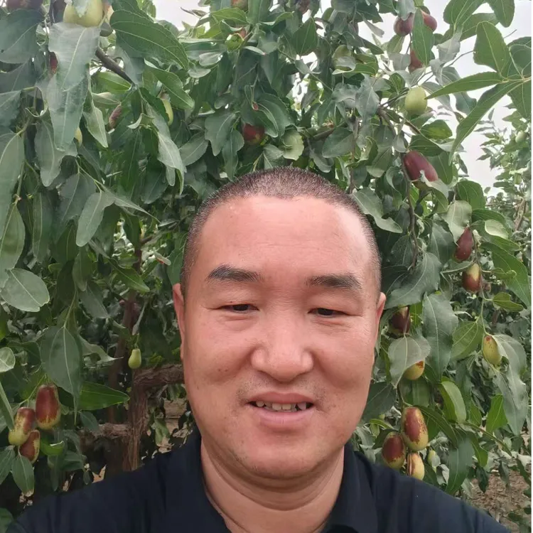 新疆和田大枣鲜枣子（适合蒸煮）5斤装航空发货产地直发包邮