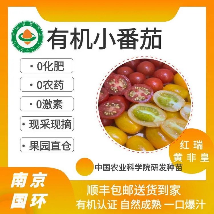 有机认证|云南高原有机彩色小番茄0农药0化肥0激素