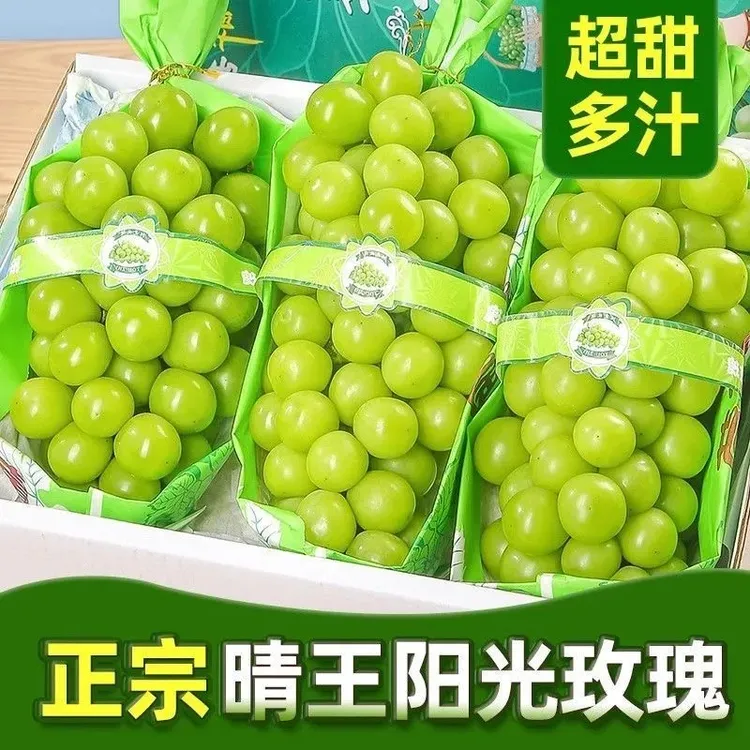 新鲜当季阳光玫瑰葡萄果园发货脆甜多汁+气柱发货Y1