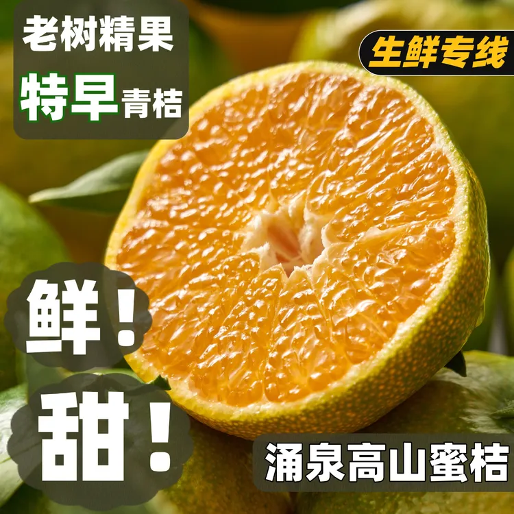 高山老果树正宗临海特早涌泉蜜桔新鲜桔子4.5斤礼盒中秋送礼好物