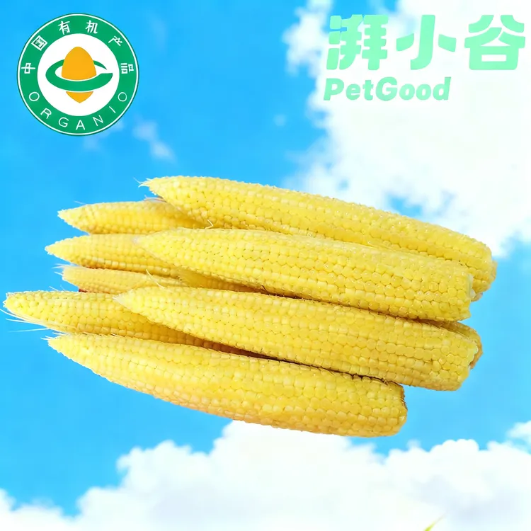 湃小谷有机鹦鹉小玉米笋健康安全无农药鹦鹉零食鹦鹉玩具虎皮鹦鹉