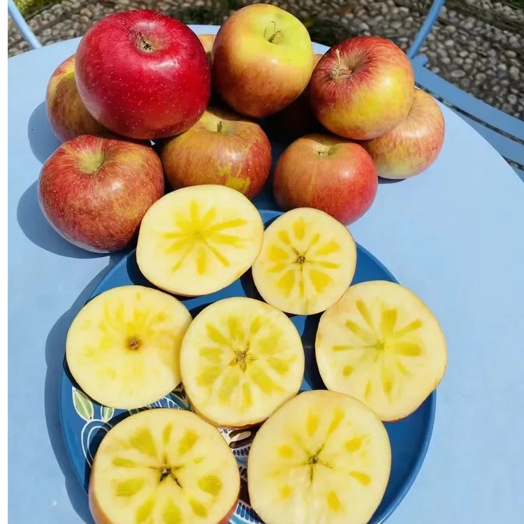 云南糖心丑苹果  海拔2700米  脆甜  产地直发 品牌自营 不打农药