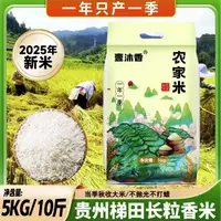 【2025新米农家米】不抛光不打蜡大米饭软糯香现磨现发10斤正装试吃