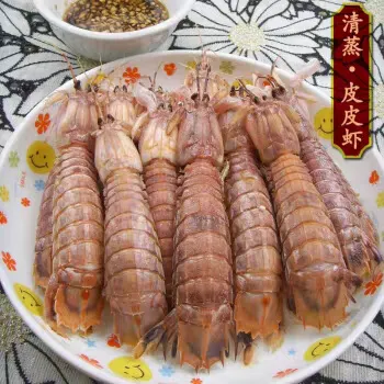 东海新鲜皮皮虾即食海鲜大虾 烤虾 琵琶虾肉濑尿虾虾姑 熟食1500g