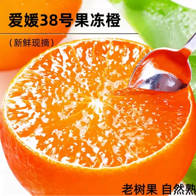 爱媛38号果冻橙新鲜现摘皮薄香甜多汁产地直发