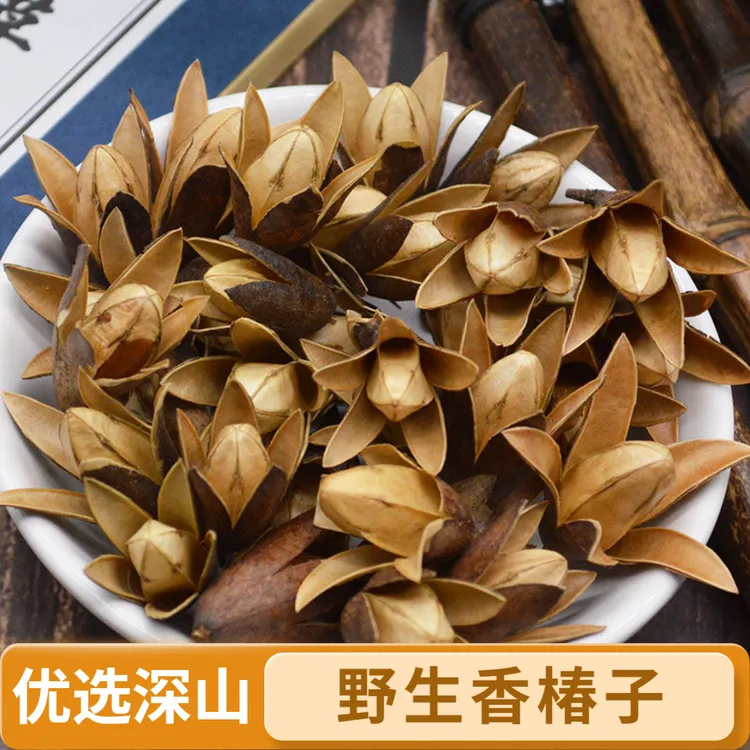 野生香椿子新货响玲子香椿籽香铃子香椿树果实干春尖250克包邮