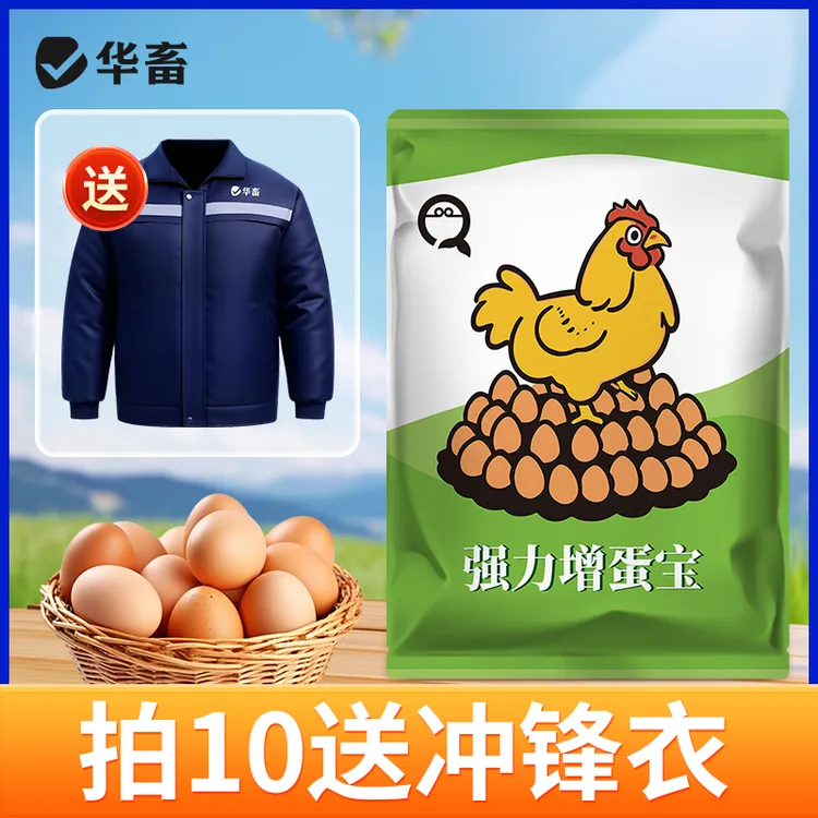 强力增蛋宝蛋多多蛋质沙皮蛋鸡鸭鹅产蛋宝芦丁鸡鸽子催蛋王S商品图