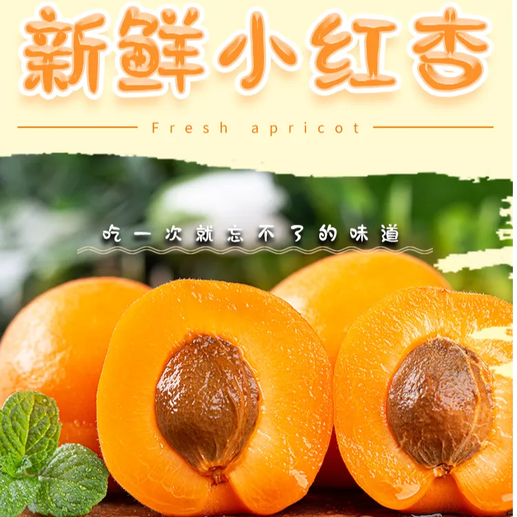 【云昊专属】新疆阿克苏小红杏新鲜采摘多汁当季水果