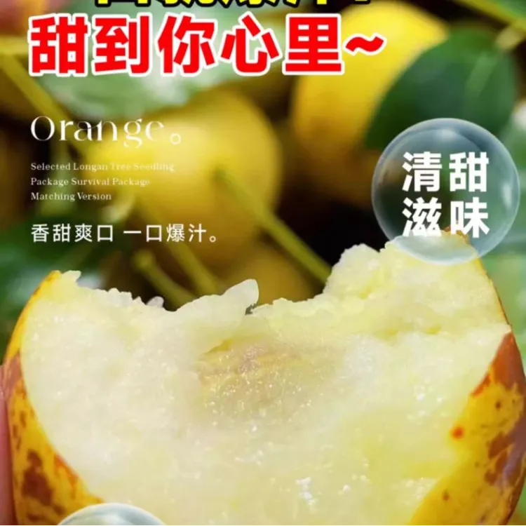 枣树苗特大冰糖冬枣苗新款耐寒耐旱盆栽地栽南北方种植当年结果