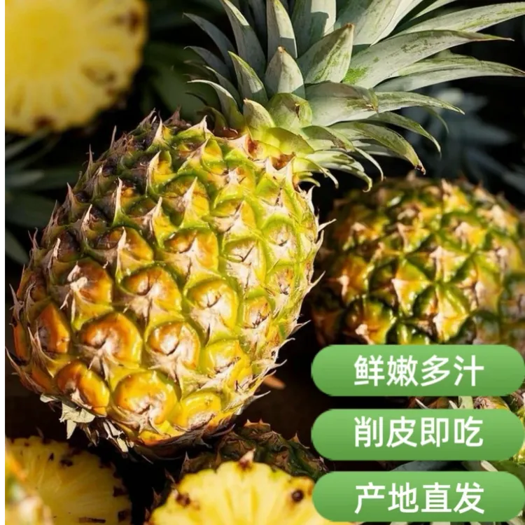 （圆通快递）正宗海南金钻凤梨自然成熟基地直发应季水果现摘现发