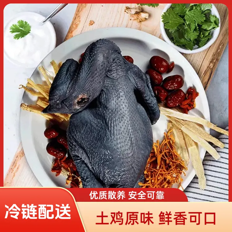 湖南怀化辰溪特有本地金毛乌肉鸡、辰溪本地小脚鸡、土鸡