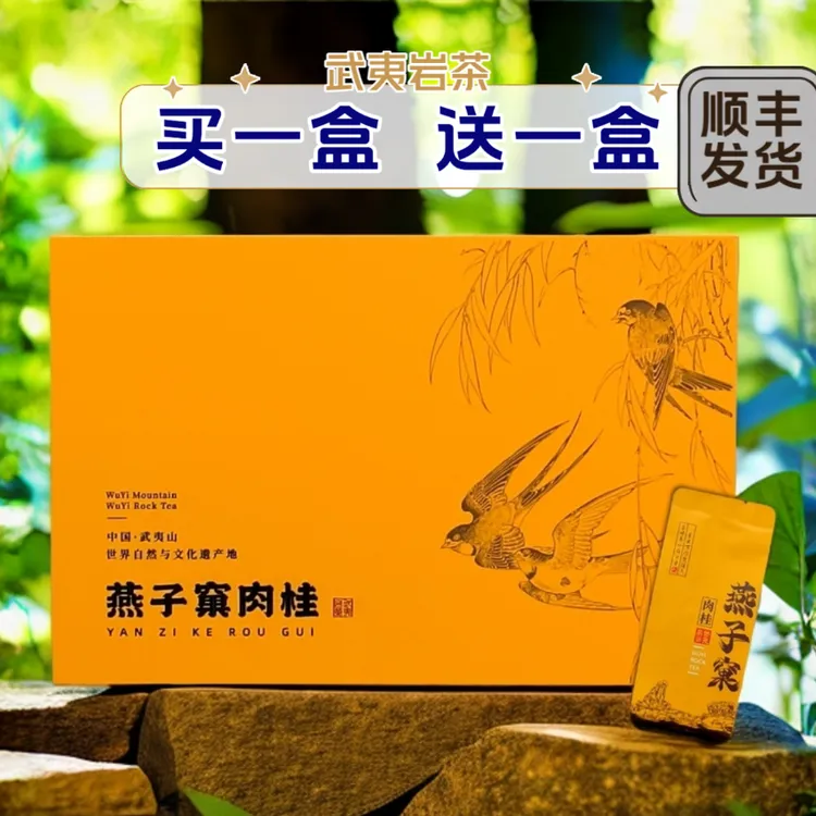 燕子窠肉桂武夷岩茶正岩特级正宗大红袍高档礼盒装送礼品茶叶长辈