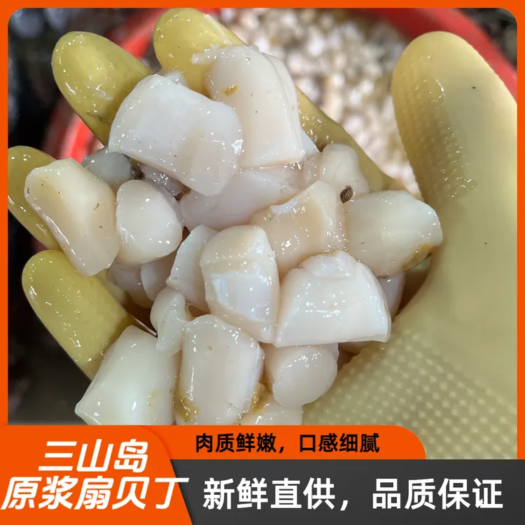 莱州三山岛 现剥原浆扇贝丁鲜嫩美味冷冻发货